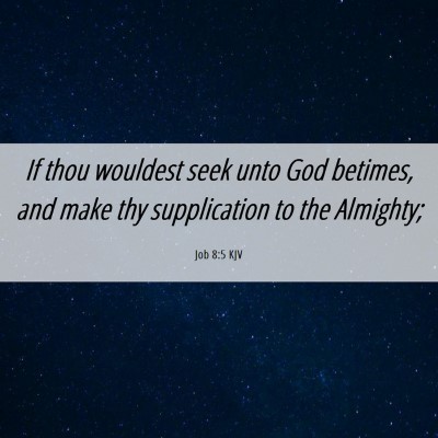 Picture 06 - Job 8:5 KJV - If thou wouldest seek unto God betimes, and make - Bible Verse Picture