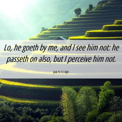 Picture 06 - Job 9:11 KJV - Lo, he goeth by me, and I see him not: he passeth - Bible Verse Picture