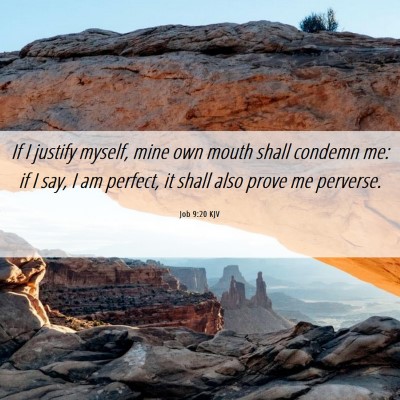 Picture 06 - Job 9:20 KJV - If I justify myself, mine own mouth shall condemn - Bible Verse Picture