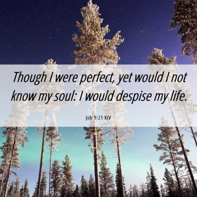 Picture 06 - Job 9:21 KJV - Though I were perfect, yet would I not know my - Bible Verse Picture