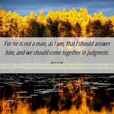 Picture 06 - Job 9:32 KJV - For he is not a man, as I am, that I should - Bible Verse Picture