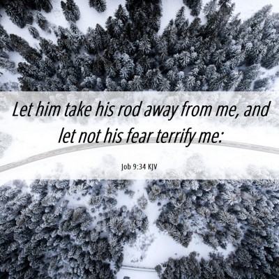 Picture 06 - Job 9:34 KJV - Let him take his rod away from me, and let not - Bible Verse Picture