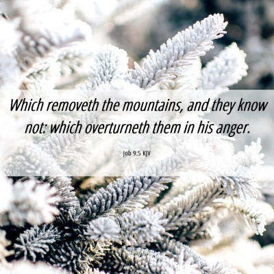 Picture 06 - Job 9:5 KJV - Which removeth the mountains, and they know not: - Bible Verse Picture