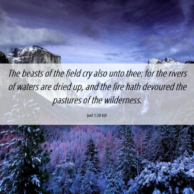 Picture 06 - Joel 1:20 KJV - The beasts of the field cry also unto thee: for - Bible Verse Picture