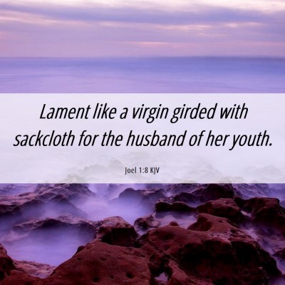 Picture 06 - Joel 1:8 KJV - Lament like a virgin girded with sackcloth for - Bible Verse Picture