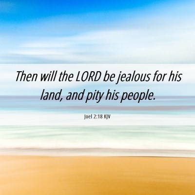 Picture 06 - Joel 2:18 KJV - Then will the LORD be jealous for his land, and - Bible Verse Picture