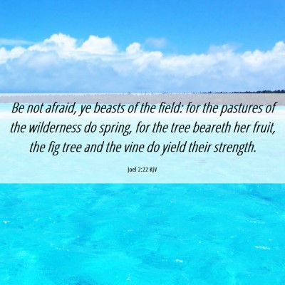 Picture 06 - Joel 2:22 KJV - Be not afraid, ye beasts of the field: for the - Bible Verse Picture