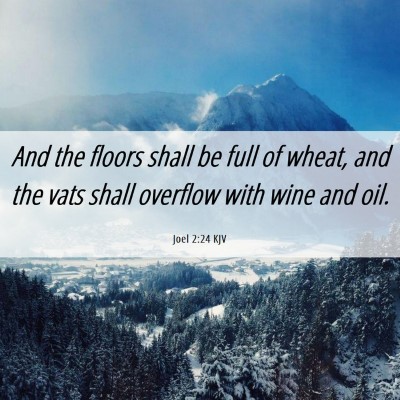 Picture 06 - Joel 2:24 KJV - And the floors shall be full of wheat, and the - Bible Verse Picture
