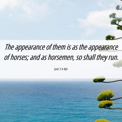 Picture 06 - Joel 2:4 KJV - The appearance of them is as the appearance of - Bible Verse Picture