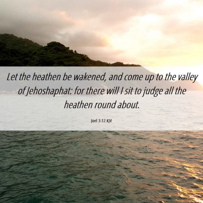 Picture 06 - Joel 3:12 KJV - Let the heathen be wakened, and come up to the - Bible Verse Picture