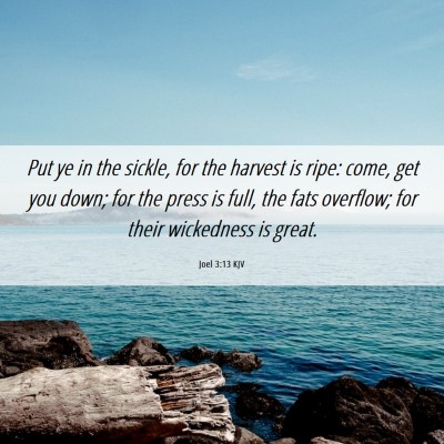 Picture 06 - Joel 3:13 KJV - Put ye in the sickle, for the harvest is ripe: - Bible Verse Picture