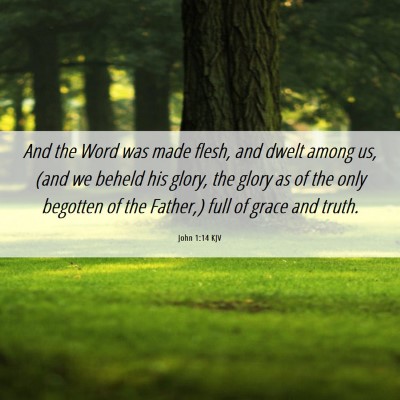 Picture 06 - John 1:14 KJV - And the Word was made flesh, and dwelt among us, - Bible Verse Picture