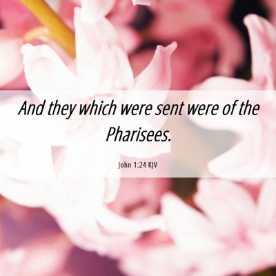 Picture 06 - John 1:24 KJV - And they which were sent were of the - Bible Verse Picture