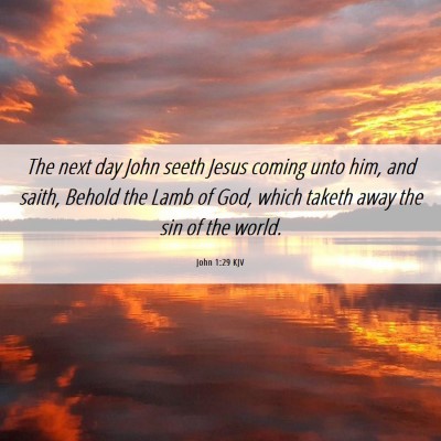 Picture 06 - John 1:29 KJV - The next day John seeth Jesus coming unto him, - Bible Verse Picture