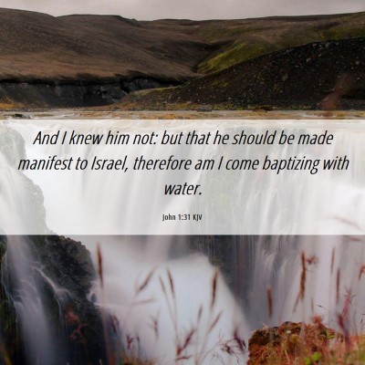 Picture 06 - John 1:31 KJV - And I knew him not: but that he should be made - Bible Verse Picture