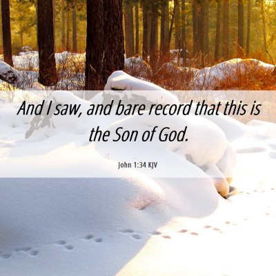 Picture 06 - John 1:34 KJV - And I saw, and bare record that this is the Son - Bible Verse Picture