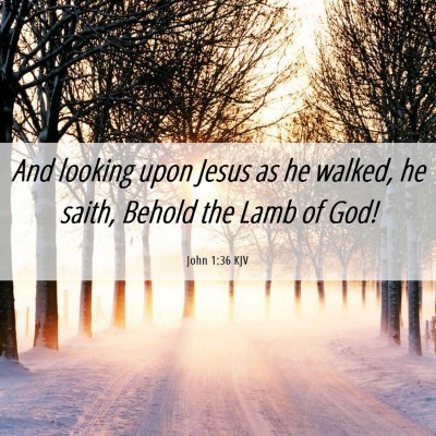 Picture 06 - John 1:36 KJV - And looking upon Jesus as he walked, he saith, - Bible Verse Picture