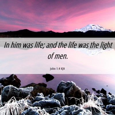 Picture 06 - John 1:4 KJV - In him was life; and the life was the light of - Bible Verse Picture