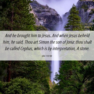 Picture 06 - John 1:42 KJV - And he brought him to Jesus. And when Jesus - Bible Verse Picture