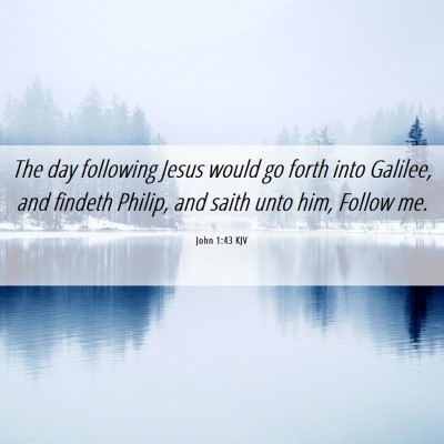 Picture 06 - John 1:43 KJV - The day following Jesus would go forth into - Bible Verse Picture