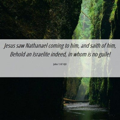 Picture 06 - John 1:47 KJV - Jesus saw Nathanael coming to him, and saith of - Bible Verse Picture