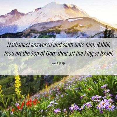 Picture 06 - John 1:49 KJV - Nathanael answered and saith unto him, Rabbi, - Bible Verse Picture