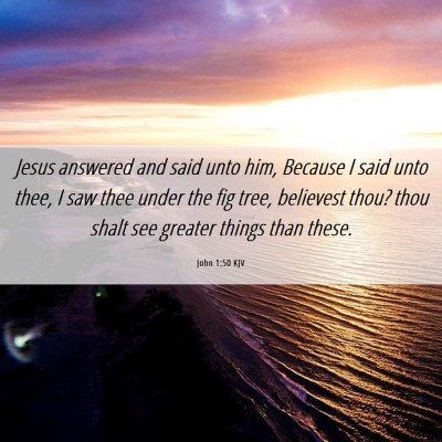 Picture 06 - John 1:50 KJV - Jesus answered and said unto him, Because I said - Bible Verse Picture