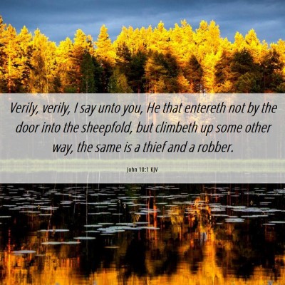 Picture 06 - John 10:1 KJV - Verily, verily, I say unto you, He that entereth - Bible Verse Picture