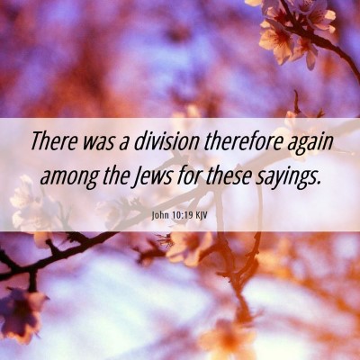 Picture 06 - John 10:19 KJV - There was a division therefore again among the - Bible Verse Picture
