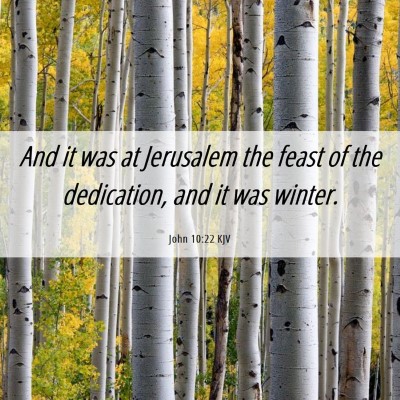 Picture 06 - John 10:22 KJV - And it was at Jerusalem the feast of the - Bible Verse Picture