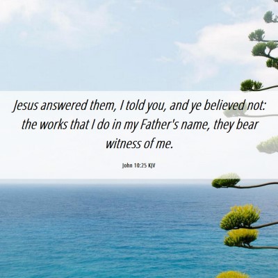 Picture 06 - John 10:25 KJV - Jesus answered them, I told you, and ye believed - Bible Verse Picture