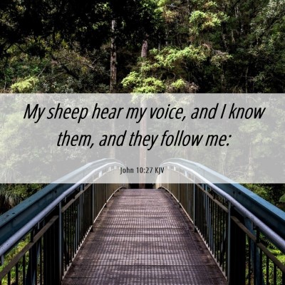 Picture 06 - John 10:27 KJV - My sheep hear my voice, and I know them, and they - Bible Verse Picture