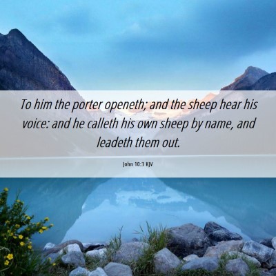 Picture 06 - John 10:3 KJV - To him the porter openeth; and the sheep hear his - Bible Verse Picture