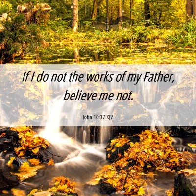 Picture 06 - John 10:37 KJV - If I do not the works of my Father, believe me - Bible Verse Picture