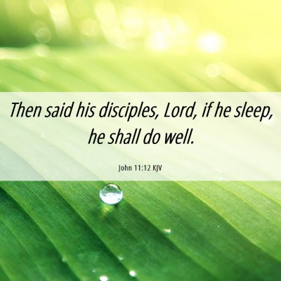 Picture 06 - John 11:12 KJV - Then said his disciples, Lord, if he sleep, he - Bible Verse Picture