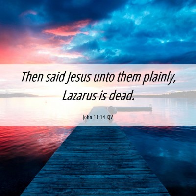 Picture 06 - John 11:14 KJV - Then said Jesus unto them plainly, Lazarus is - Bible Verse Picture