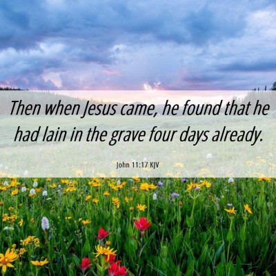 Picture 06 - John 11:17 KJV - Then when Jesus came, he found that he had lain - Bible Verse Picture