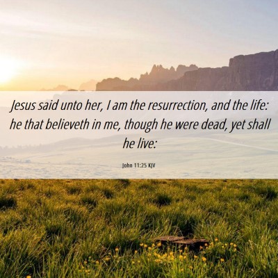 Picture 06 - John 11:25 KJV - Jesus said unto her, I am the resurrection, and - Bible Verse Picture