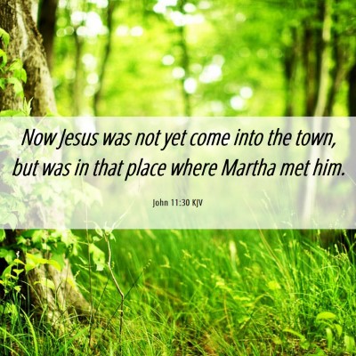 Picture 06 - John 11:30 KJV - Now Jesus was not yet come into the town, but was - Bible Verse Picture