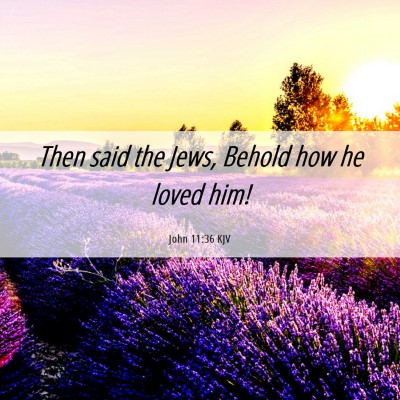 Picture 06 - John 11:36 KJV - Then said the Jews, Behold how he loved - Bible Verse Picture