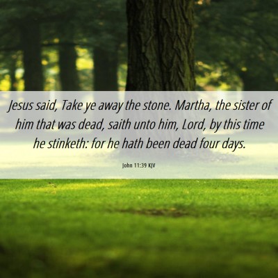 Picture 06 - John 11:39 KJV - Jesus said, Take ye away the stone. Martha, the - Bible Verse Picture