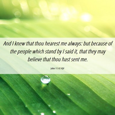 Picture 06 - John 11:42 KJV - And I knew that thou hearest me always: but - Bible Verse Picture