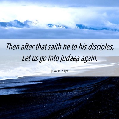 Picture 06 - John 11:7 KJV - Then after that saith he to his disciples, Let us - Bible Verse Picture