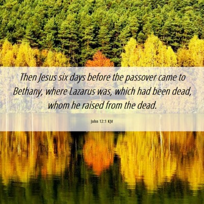 Picture 06 - John 12:1 KJV - Then Jesus six days before the passover came to - Bible Verse Picture