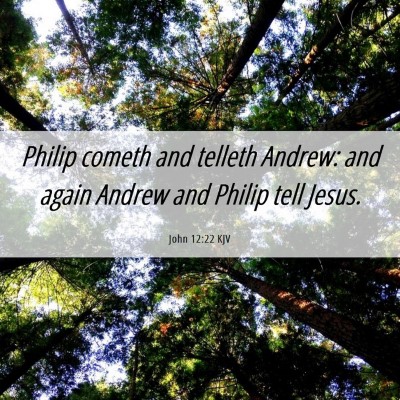 Picture 06 - John 12:22 KJV - Philip cometh and telleth Andrew: and again - Bible Verse Picture