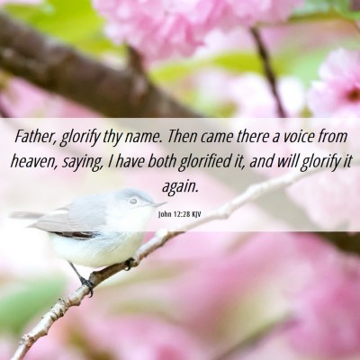 Picture 06 - John 12:28 KJV - Father, glorify thy name. Then came there a voice - Bible Verse Picture