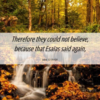 Picture 06 - John 12:39 KJV - Therefore they could not believe, because that - Bible Verse Picture
