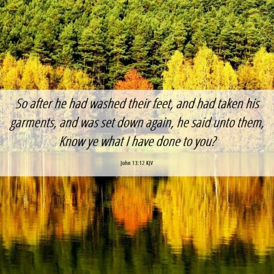 Picture 06 - John 13:12 KJV - So after he had washed their feet, and had taken - Bible Verse Picture
