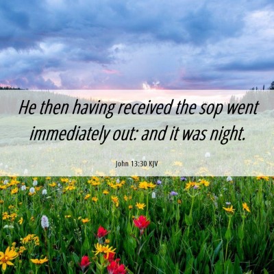 Picture 06 - John 13:30 KJV - He then having received the sop went immediately - Bible Verse Picture