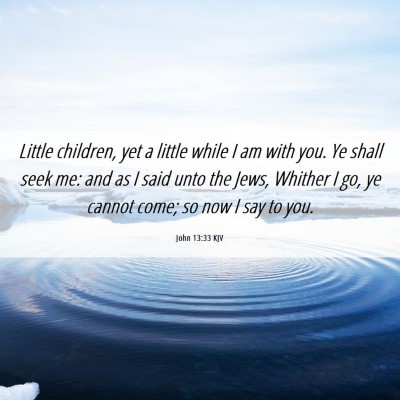 Picture 06 - John 13:33 KJV - Little children, yet a little while I am with - Bible Verse Picture